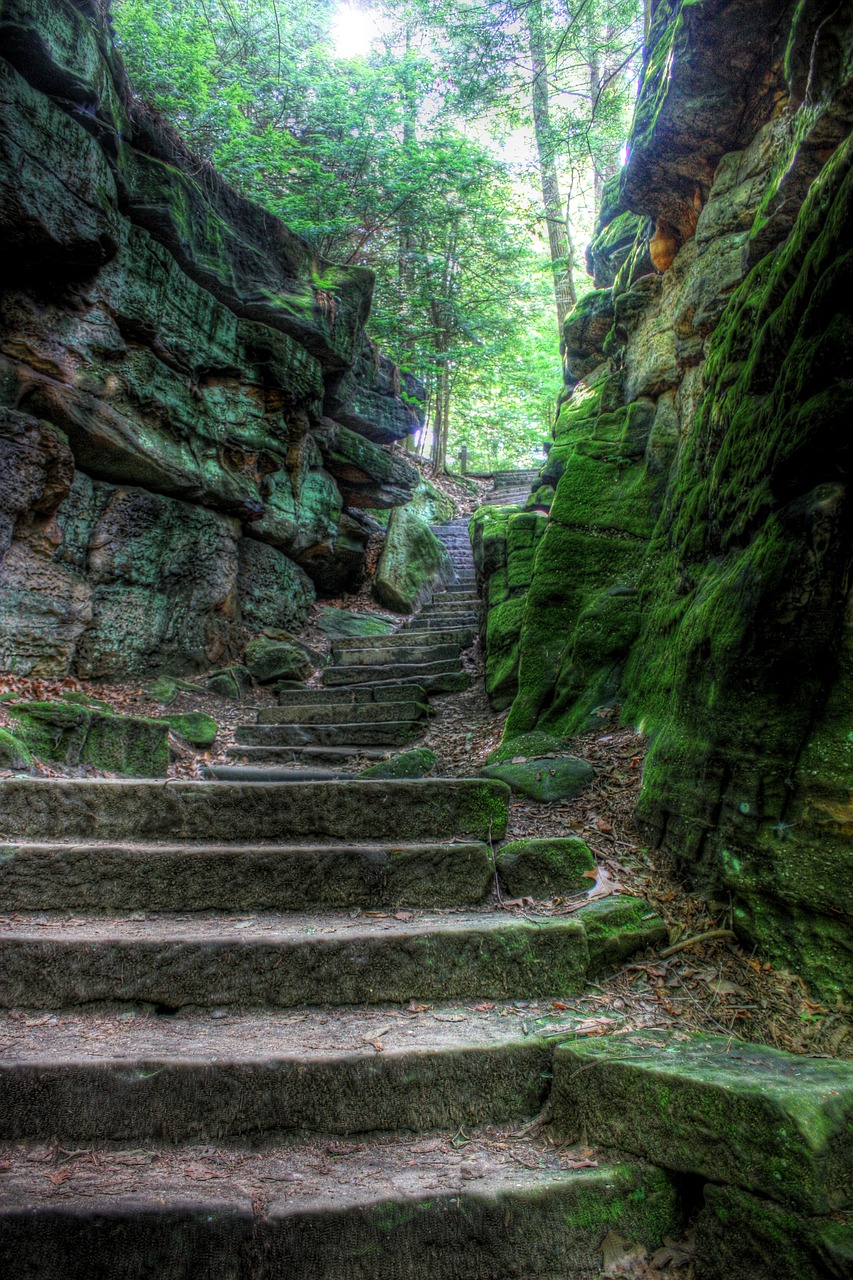 stairs, nature, stairway-675909.jpg